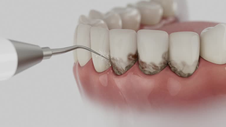 Reliable Dental contractor in Washington Parish County, LA by Dentist Open Now